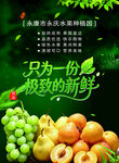 新鲜果蔬开启极致美味