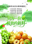 新鲜水果极致的一份享受