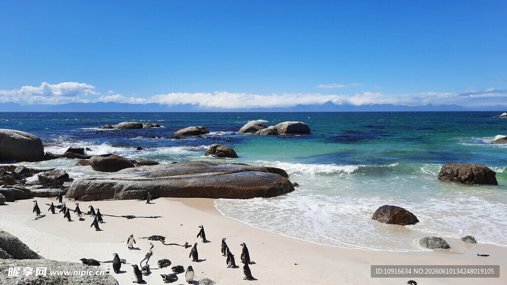 海滩上的企鹅与美丽海景