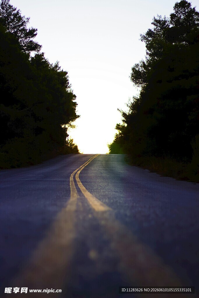 林间公路日暮