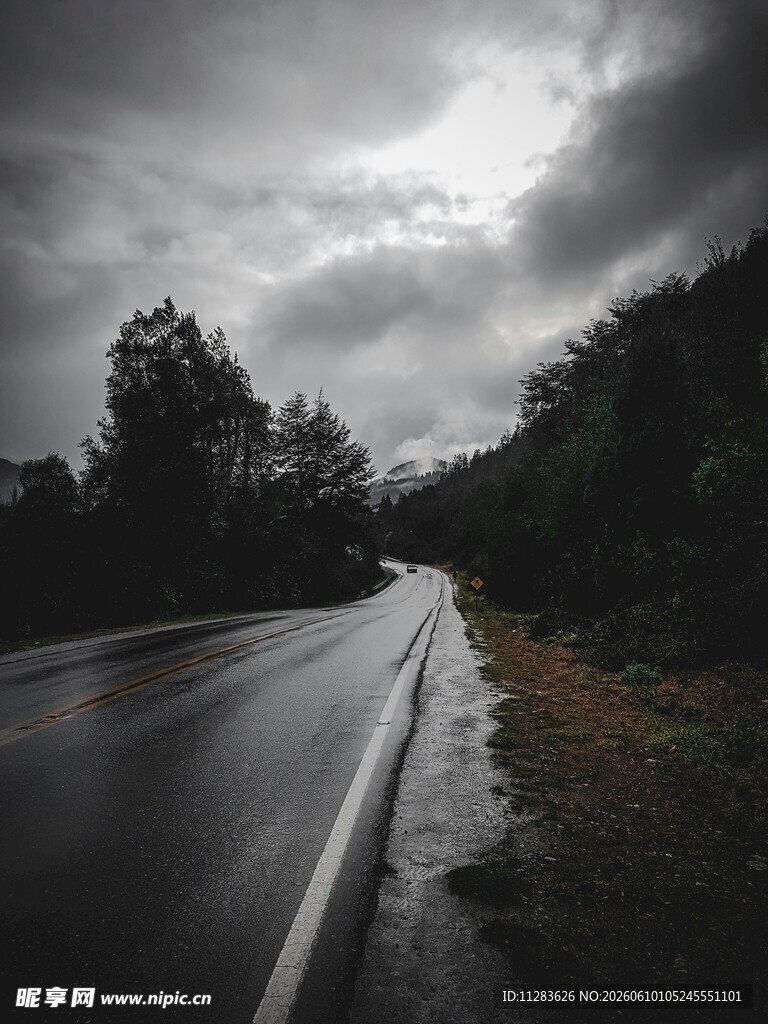 阴雨天的林间