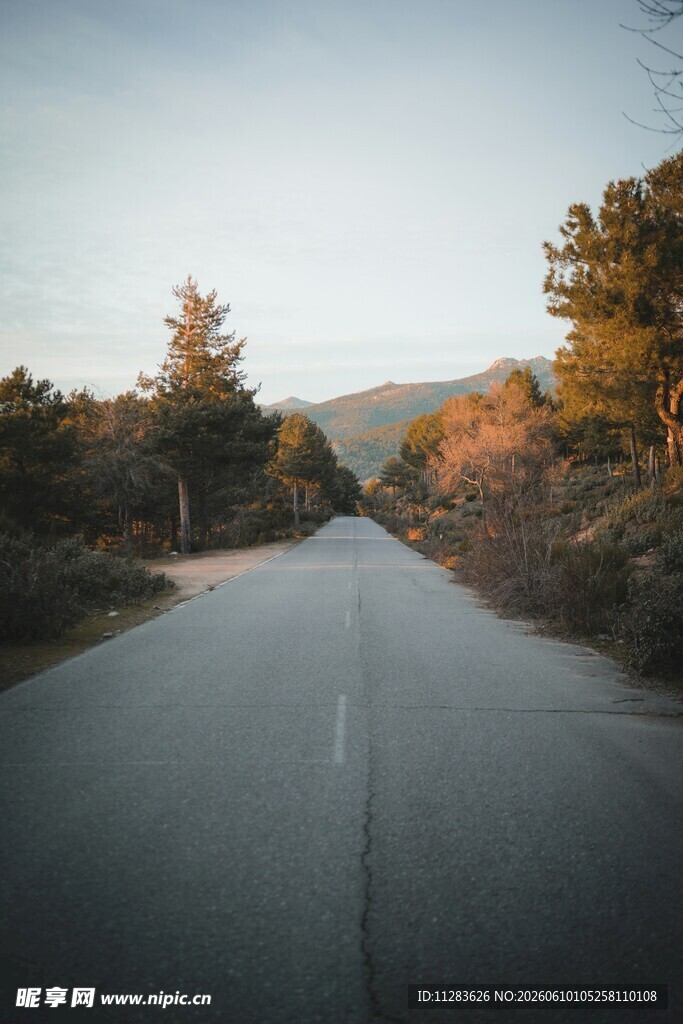 秋日林间公路