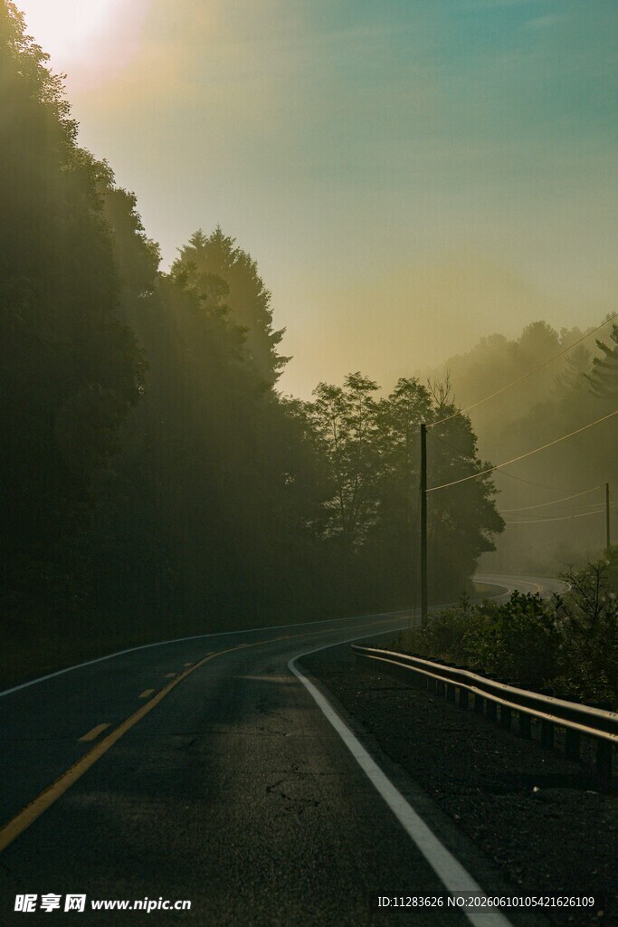 晨雾中的公路