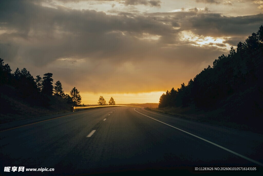 夕阳下的公路与远方树林