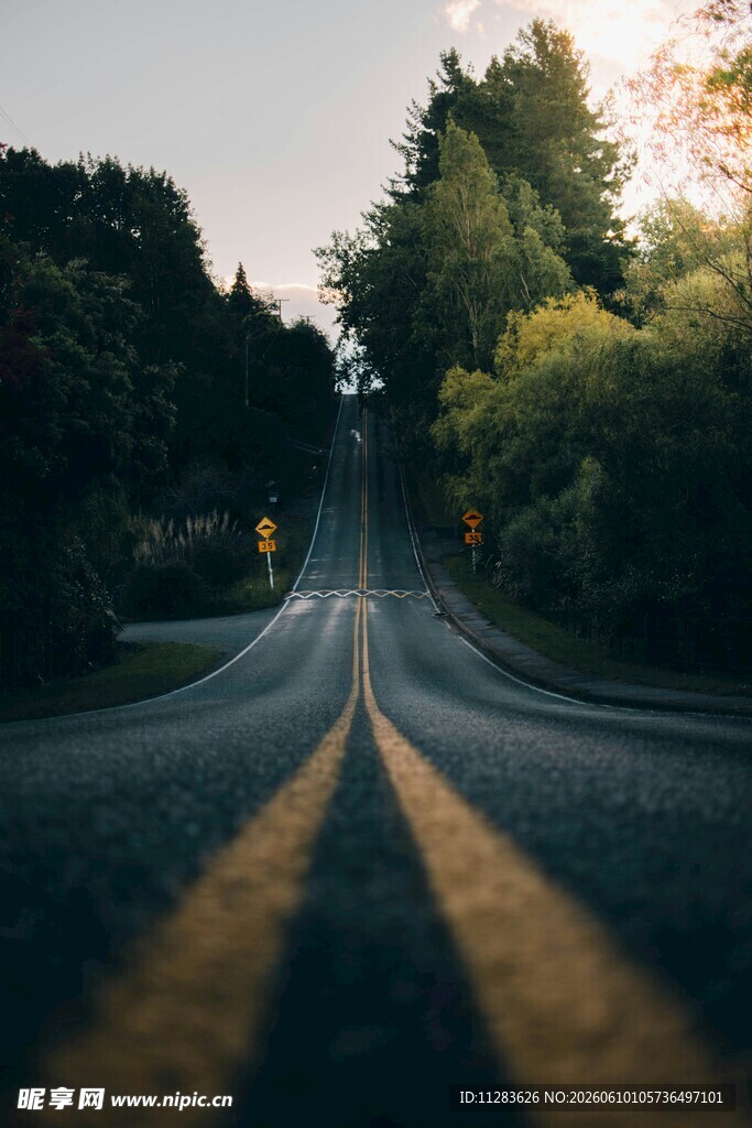 林间公路延伸