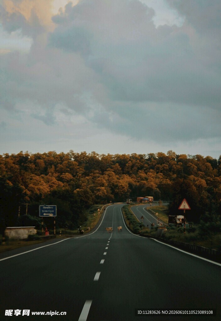 黄昏下的公路与远方树林