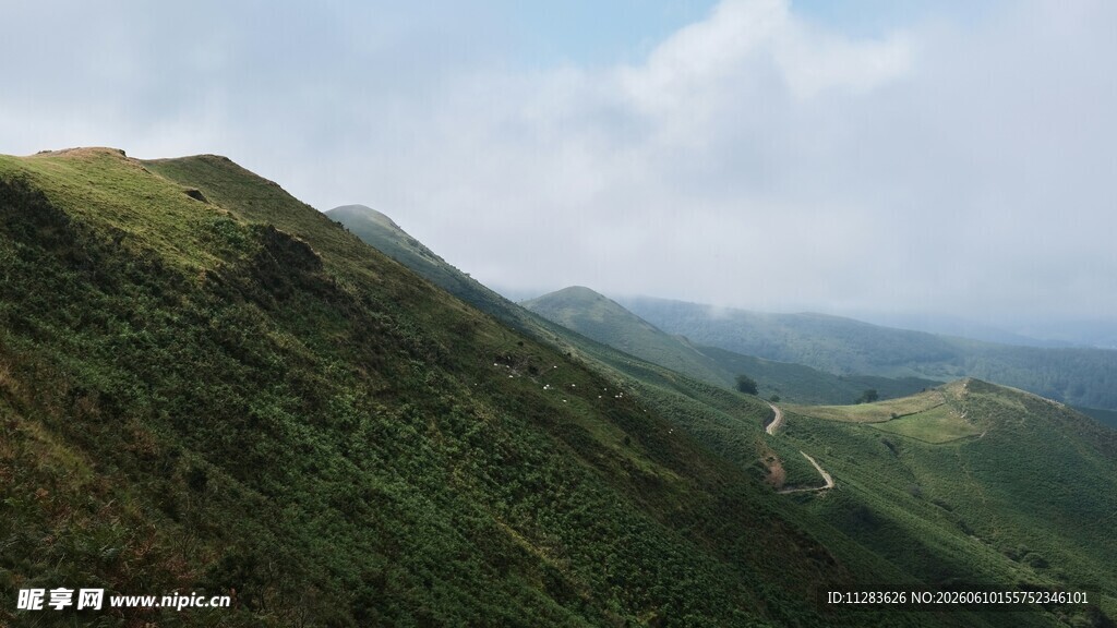 青山绿野