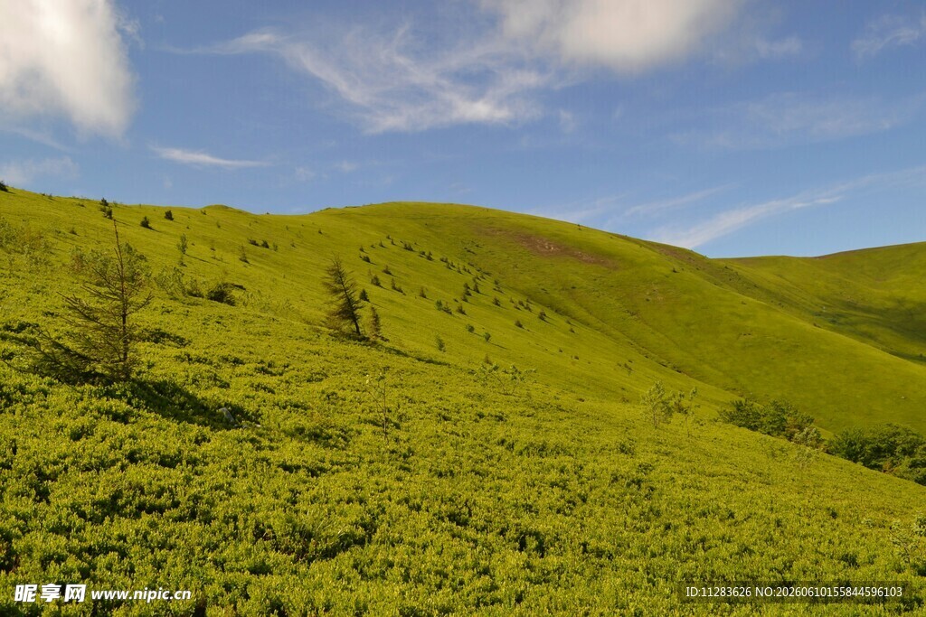 翠绿山坡上的蓝天景致