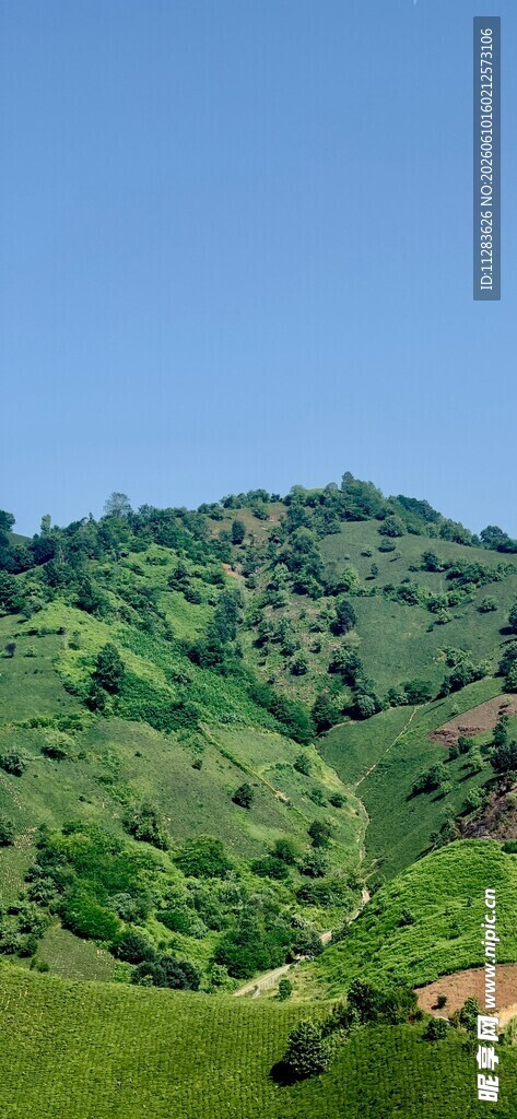 青山绿野间的静谧景致