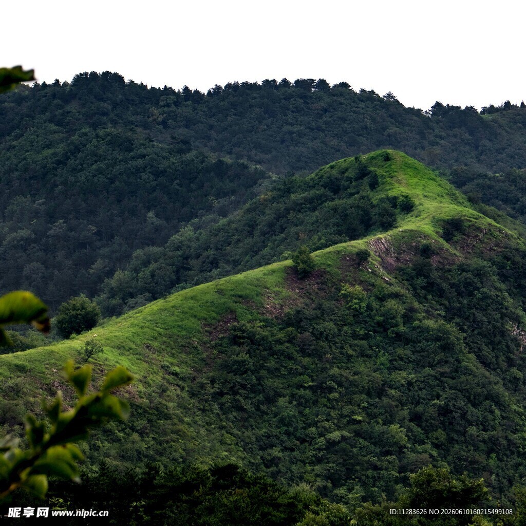 翠绿山峦风景如画