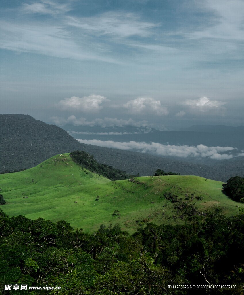 翠绿山峦间的云海美景