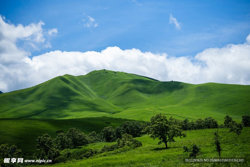 翠绿山丘蓝天白云美景
