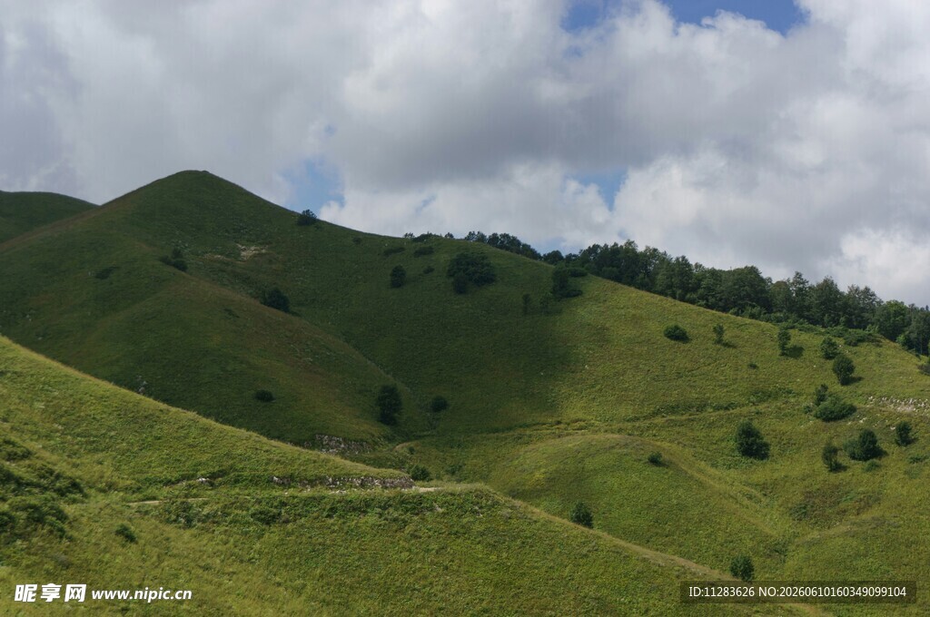 翠绿山峦