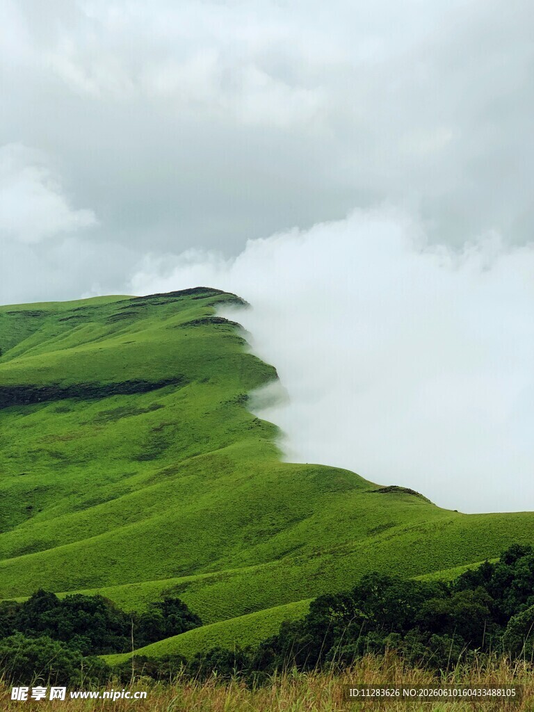 云雾缭绕的翠绿山坡美景