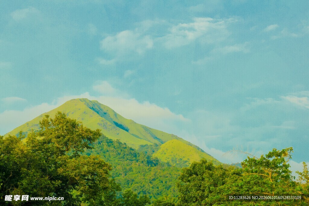 青山绿树