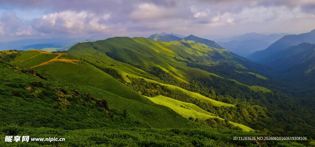 山间绿野美景