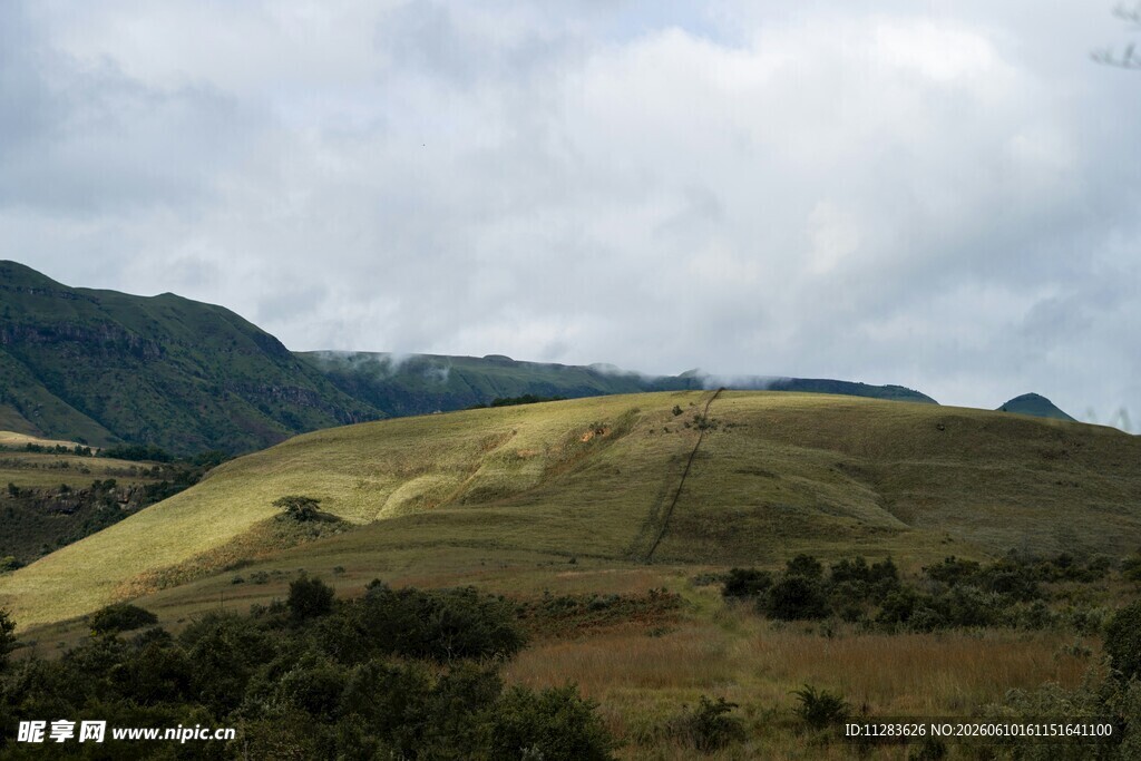 山间草地风景