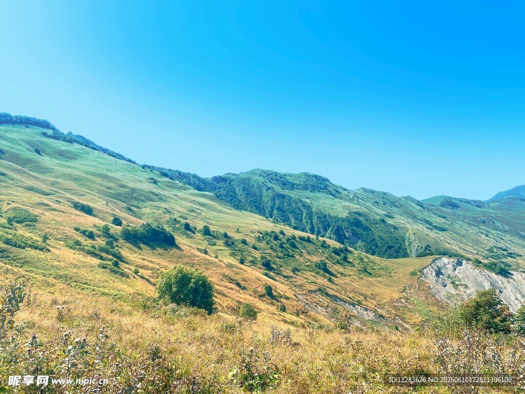 美丽山野风光