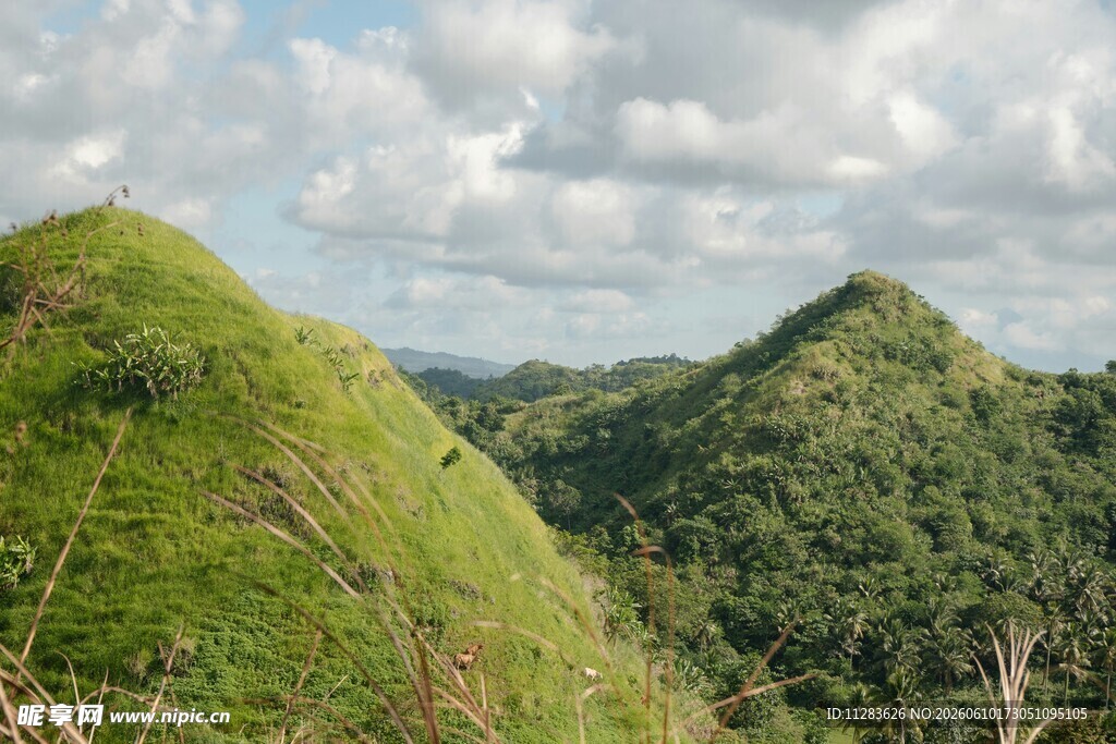 翠绿山峦美景
