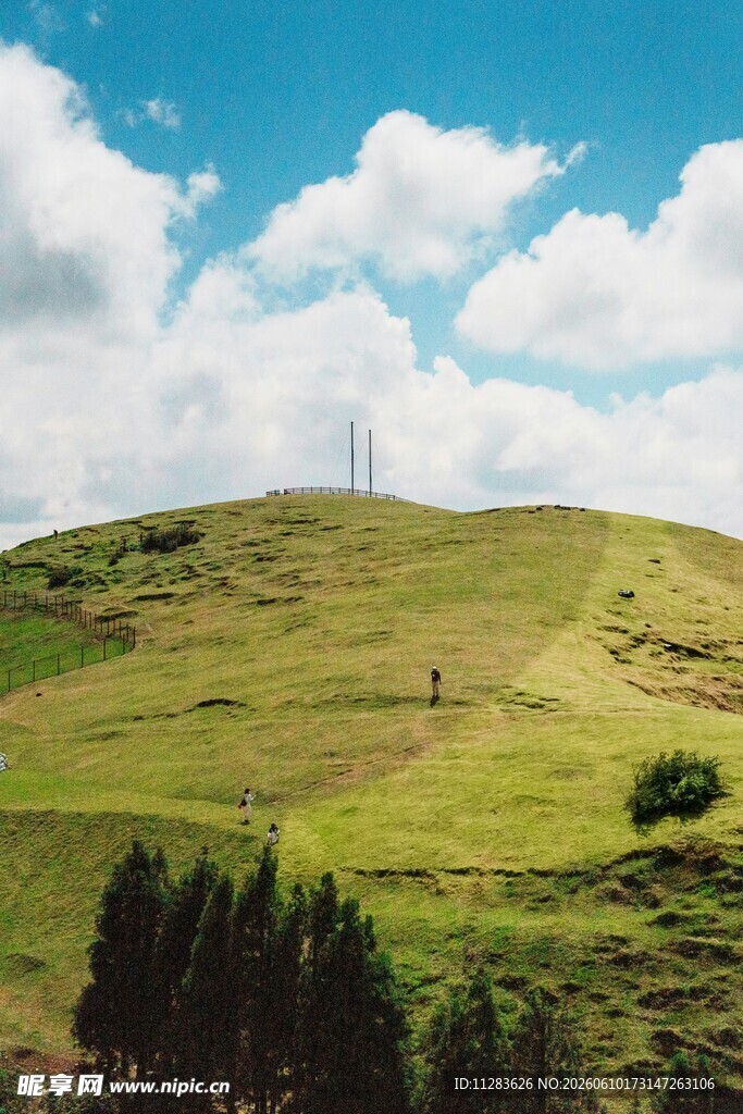 绿意盎然的山坡风景