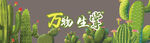春季视觉