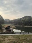 湖畔小屋宁静自然景致