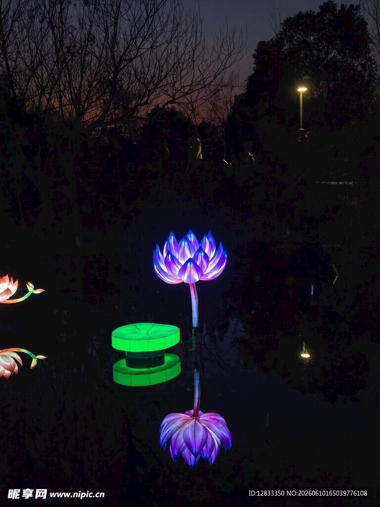 夜湖中的发光莲花景观