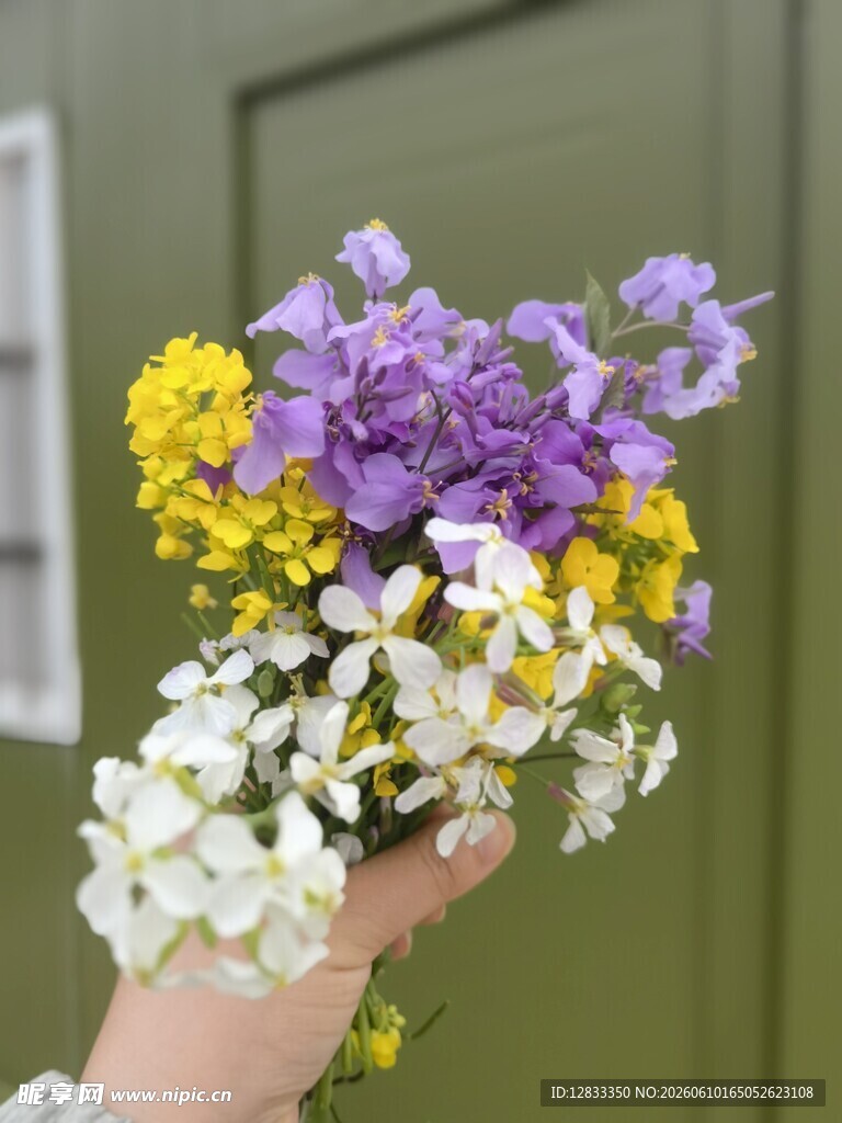 手捧多彩鲜花花束
