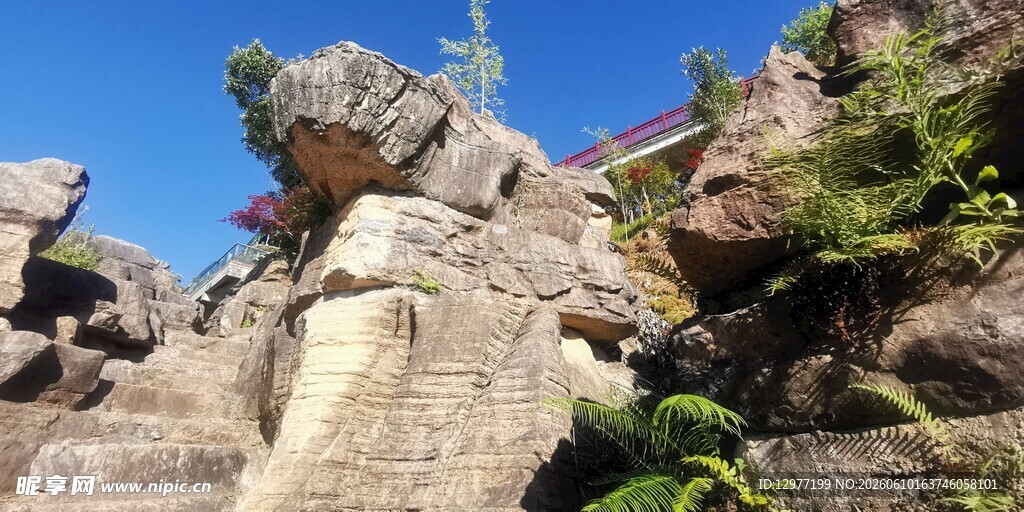 奇形怪石与绿植景观
