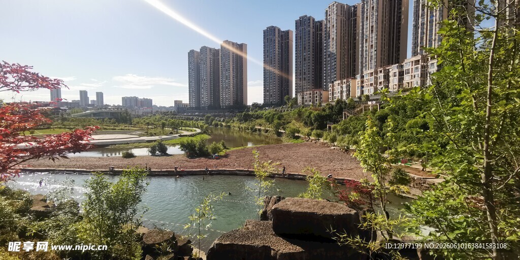 河畔高楼与繁茂绿植景观