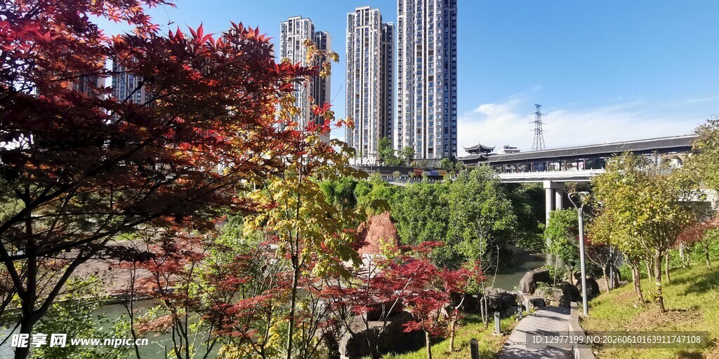 城市中的自然景观与建筑