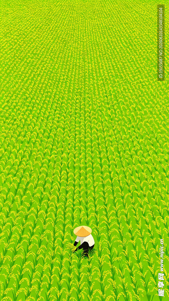 芒种