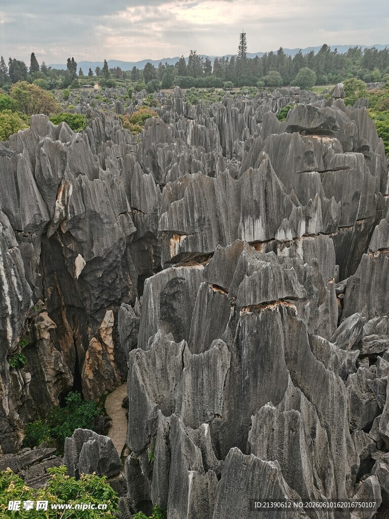 壮观石林景观