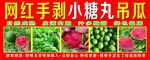 网红小糖丸吊瓜展示