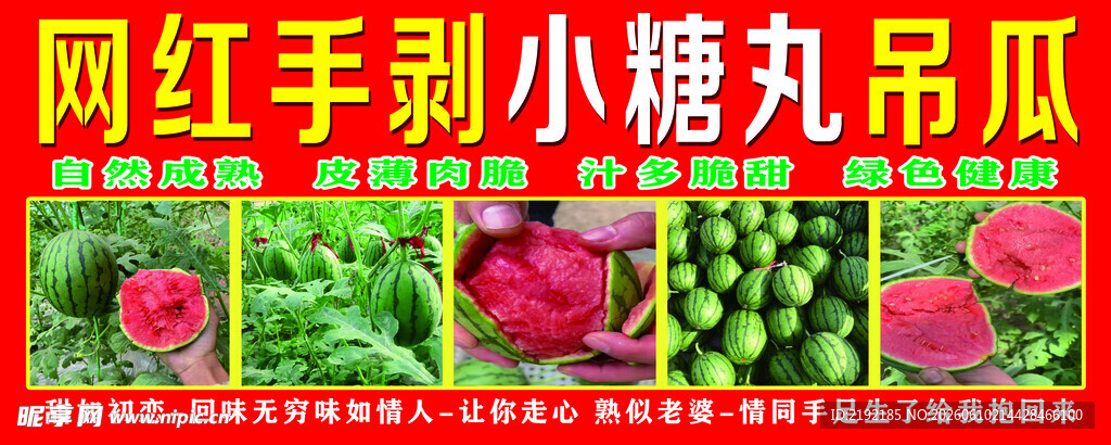 网红小糖丸吊瓜展示