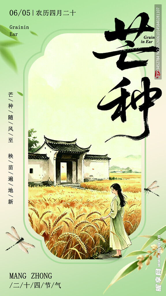 芒种时节 麦香四溢田园景