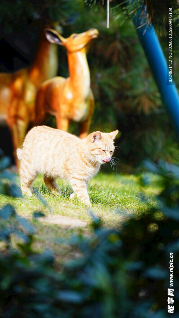 草地上的小鹿与猫咪