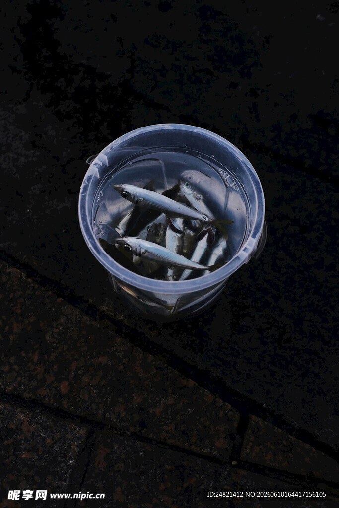 透明杯中装着多枚硬币