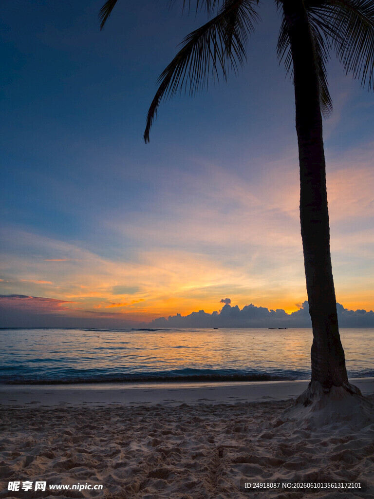 海边日落与椰树美景