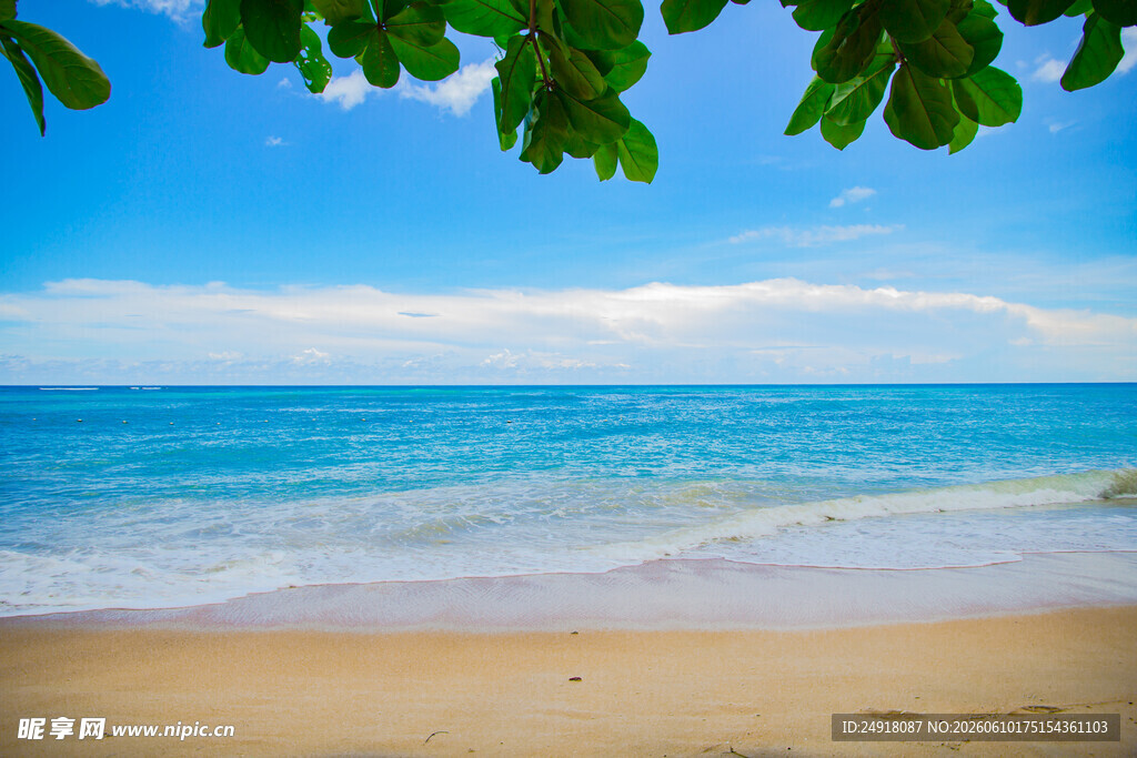 美丽海滨沙滩海景风光