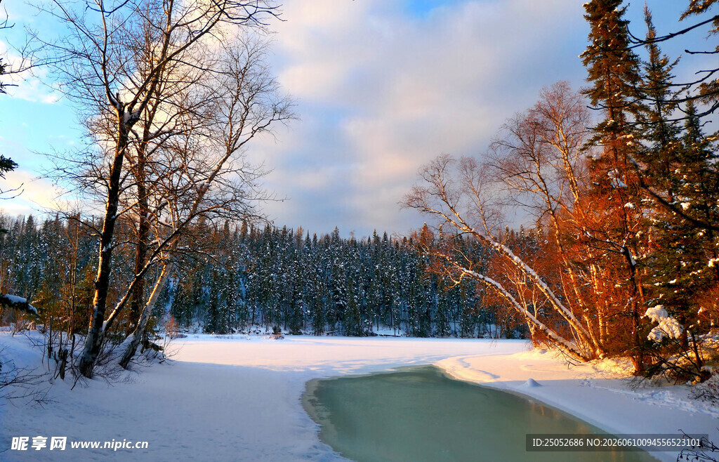 冬日雪林河畔美景