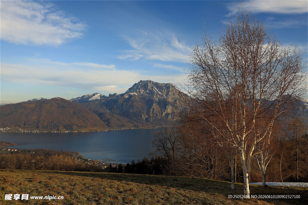 湖畔枯树与远山美景