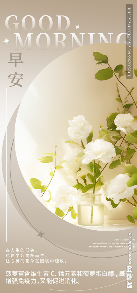 清新白色花卉装饰早安图案