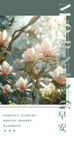 玉兰花枝早安清新画面