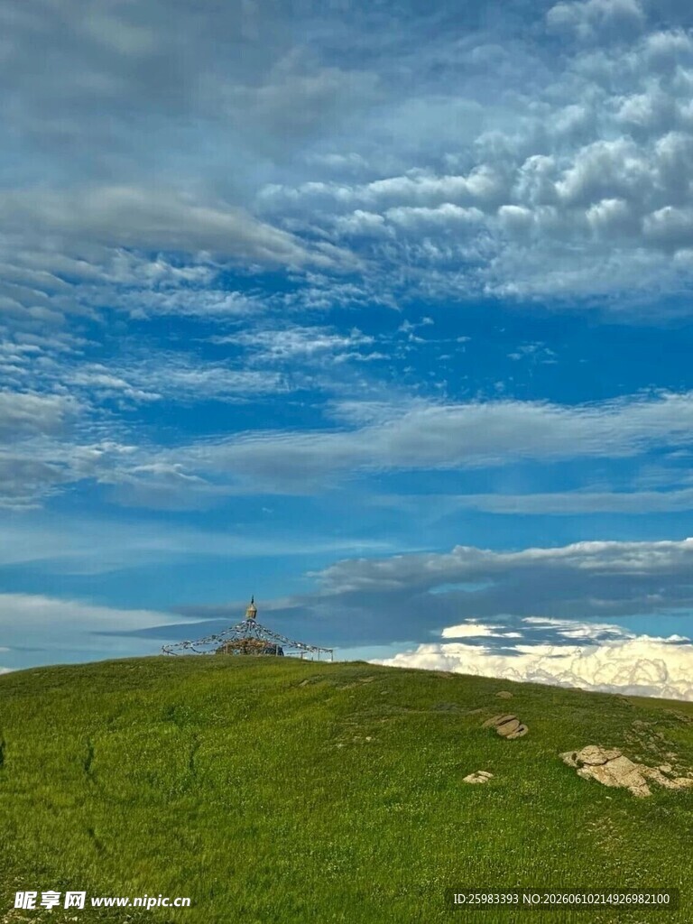 草原