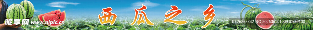 西瓜 