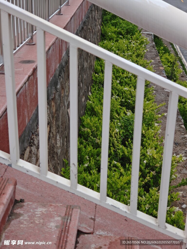 白色栏杆旁的绿意景观