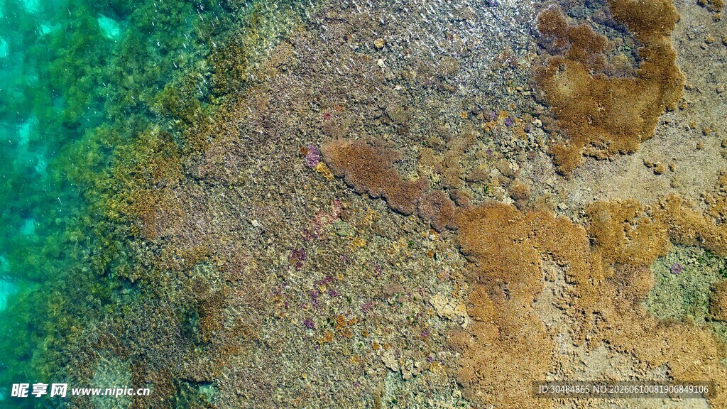 海底沙石景观