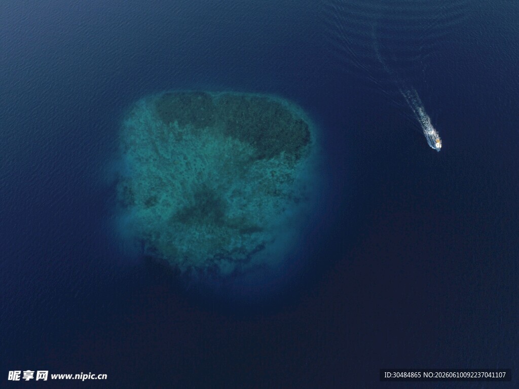 深海中的神秘绿色岛屿
