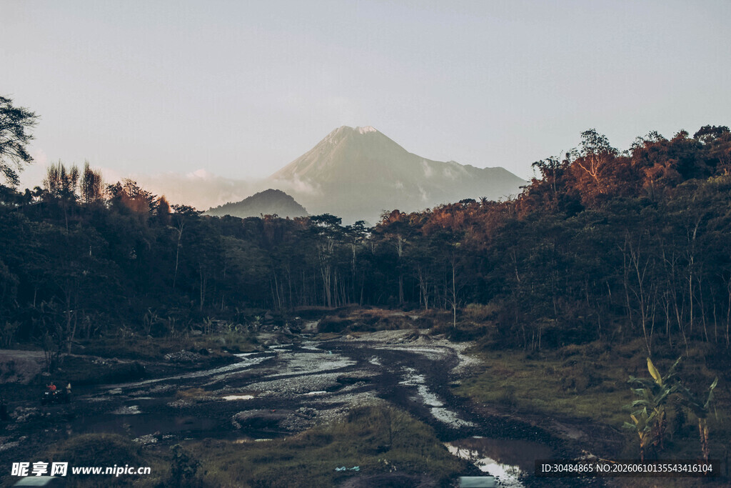 山间溪流旁的秀丽自然景